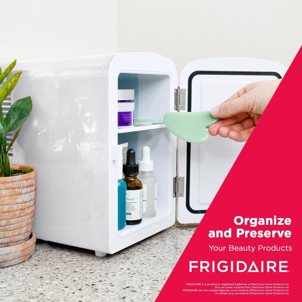 Frigidaire Mini